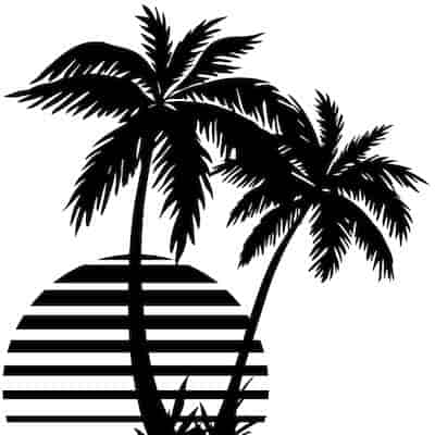 Paradise Private Money Logo